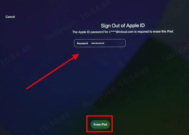 Introduce el ID de Apple y la contraseña asociados al dispositivo.
